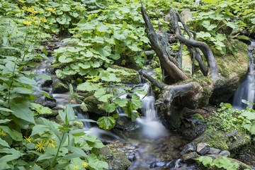 Small waterfalls on a river flowing in nature.