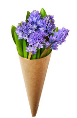 Bouquet of blue hyacinth flowers and leaves in a craft paper cornet