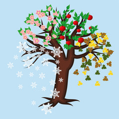 Four seasons tree card, vector illustration