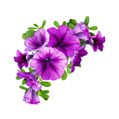 Purple petunia flowers in a floral corner composition