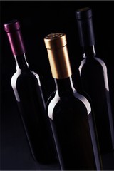 Dark wine bottles in row