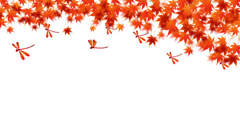 紅葉　秋　葉　背景 © J BOY