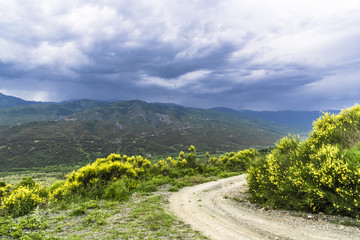 At the turn of a mountain country road