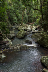 Creek running through bush