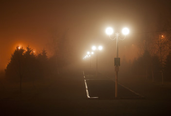 The magic of the city. Fog