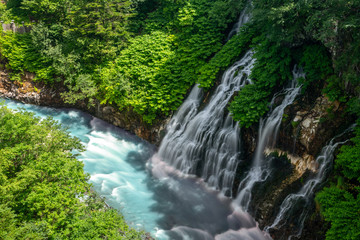 Shirohige waterfall in summer. Biei, Japan.