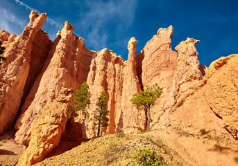 Bryce Canyon National Park, Utah, USA.