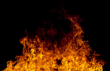 Fire flames on a black background