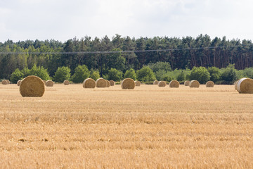 Strohballen auf einem abgeernteten Getreidefeld