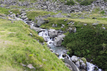 Fototapeta na wymiar Waterfall in the mountains. Cold mountain river. Brook among the stones. Cold water. Spring melting snow. Summer in the mountains. Spring in the mountains. A cascade of water among the green beaches.