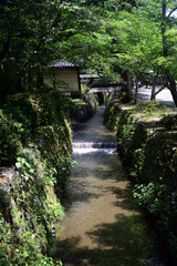 Fototapeta na wymiar Daikaku-ji-14