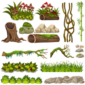 A set of nature elements