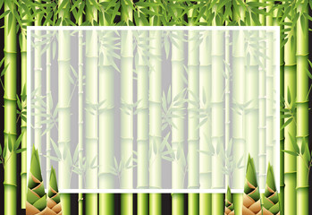 Beautiful nature bamboo template
