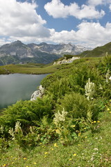 Fototapeta premium The Grunwaldsee in Obertauern near Hochalm and Seekarspitze. Austria