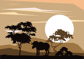 Fototapeta na wymiar Buffalo african animals silhouetttes at savanna vector illustration graphic design