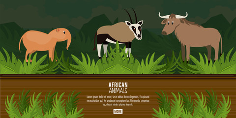 African animals concept poster with information vector illustration graphic design