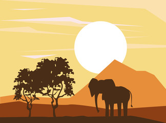 elephant african animals silhouetttes at savanna vector illustration graphic design