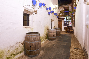 Naklejka premium Córdoba, Andalusia, Spain, Europe