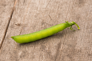 fresh green pea pod from the garden on a wooden background
