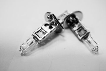 automotive lamp   on white background 