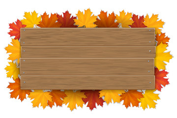 Empty wooden sign with space for text on a background of tree branches with autumn leaves. The template for a banner or an advertisement for a seasonal discount.