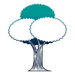 leafy tree foliage nature trunk forest