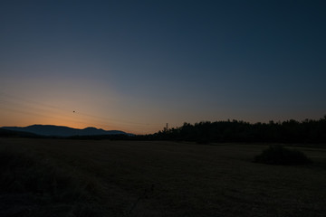 Obraz premium Field Surrounded by Forest Before Sunrise