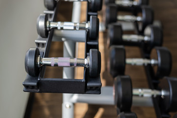 Fototapeta premium Dumbbells in gym. Close up many dumbbells in sport fitness centre.