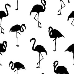 Vector seamless pattern with flamingo