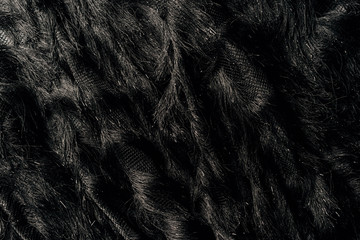 elevated view of furry black textile as background