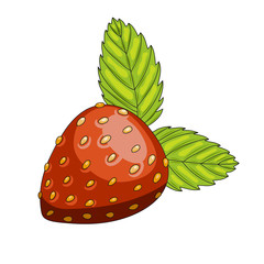 strawberry berry icon