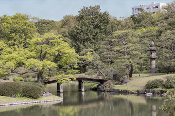 The wooden japanese bridge Dentsuru Bride on the pond of Rikugien Park in Bunkyo district, north of Tokyo.