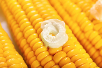 Tasty corn cob with butter, closeup