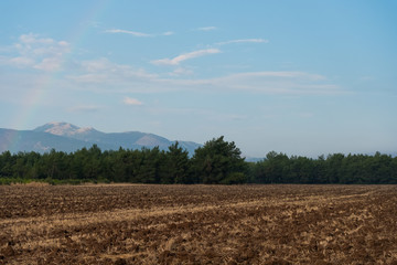 Obraz premium Rainbow Above the Plowed Field and the Trees