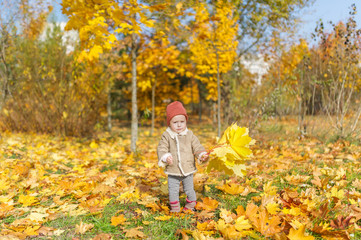 Cute little girl in warm cap with maple leaf play in autumn park.