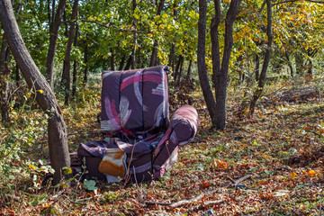armchair discarded in the forest