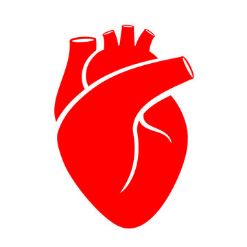 cardiology vector icon isolated on transparent background, cardiology logo  design Stock Vector | Adobe Stock