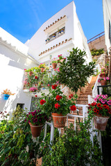 Fototapeta na wymiar façades de maisons blanches décorées pot de fleurs bleues 6