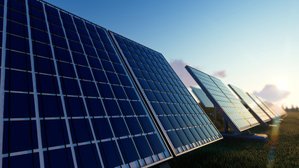 Solar Panels on the Green Fields Under Bright Sun