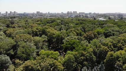 Park from the height. Foliage. Forest. Park.