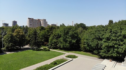 City park. Trees. 