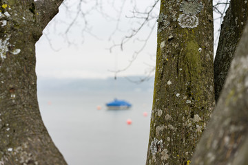 Boat on lake seen through tree bench in winter