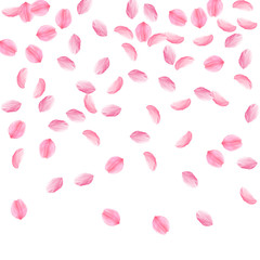 Sakura petals falling down. Romantic pink silky medium flowers. Sparse flying cherry petals. Top gra