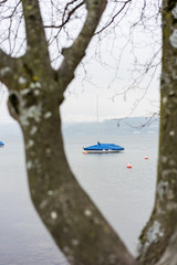 single boat seen through tree on lake, fog misty weather, melancholic mood