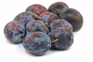 Zwetschgen auf weißem Untergrund