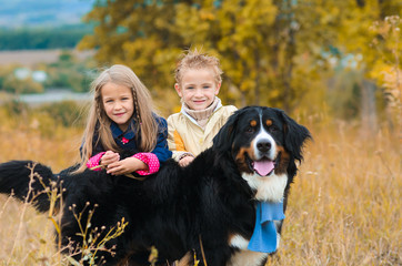 brother and his sister on walk with his four-footed dog friend on autumn meadow Berner Sennenhund