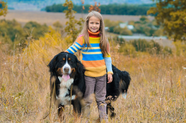 girl on walk with her four-legged friend on autumn fields Berner Sennenhund