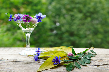 cornflowers in a wine glass on a natural green background