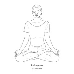 Padmasana or Lotus Pose. Yoga Practice. Vector.