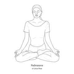 Padmasana or Lotus Pose. Yoga Practice. Vector.